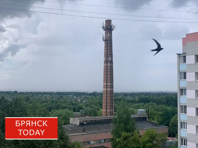 В Брянской области объявлена новая воздушная тревога спустя час после отбоя