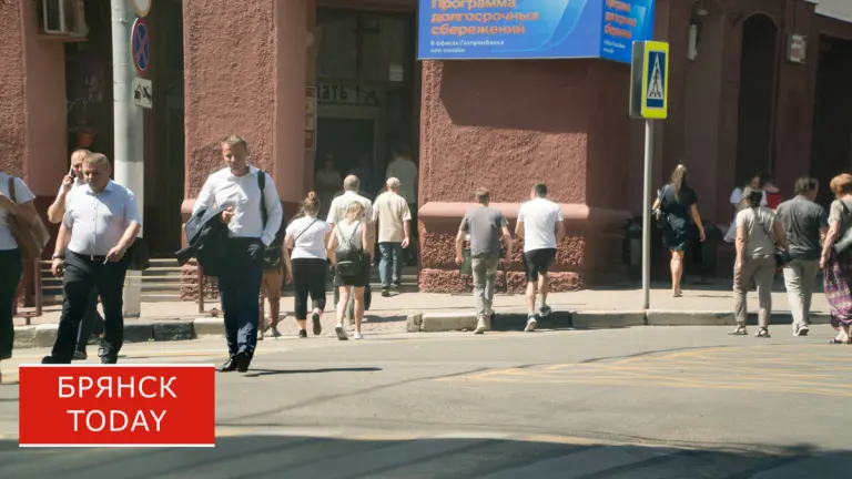 С марта 2027 года в России появится официальный статус стажера