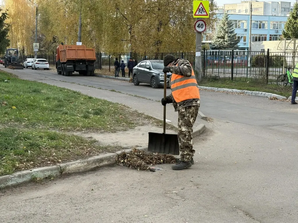 Уборка улицы от листвы в Брянске