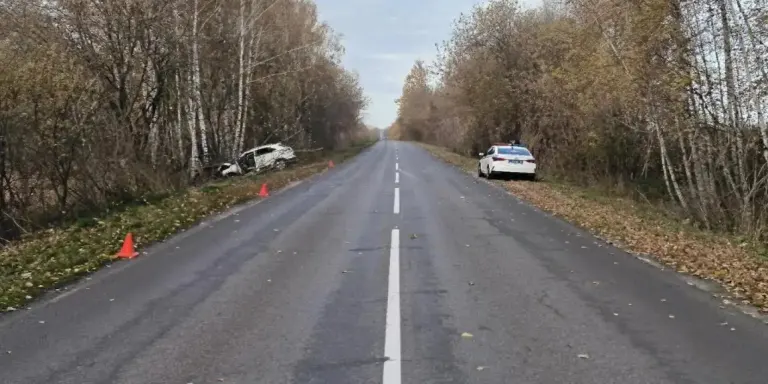 В Стародубском районе водитель разбился о дерево, пассажир скончался в больнице