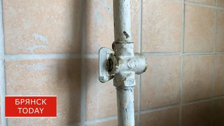 В Брянской области готовят систему интеллектуального учета газа