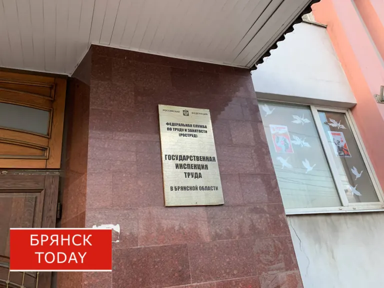 Трудовая инспекция предупредила брянских работодателей о поддельных письмах