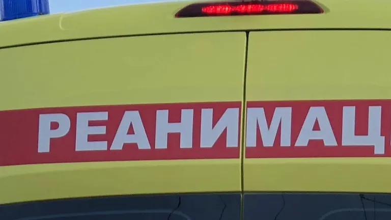 В Суражском районе водитель BMW погиб в ДТП на опасном повороте