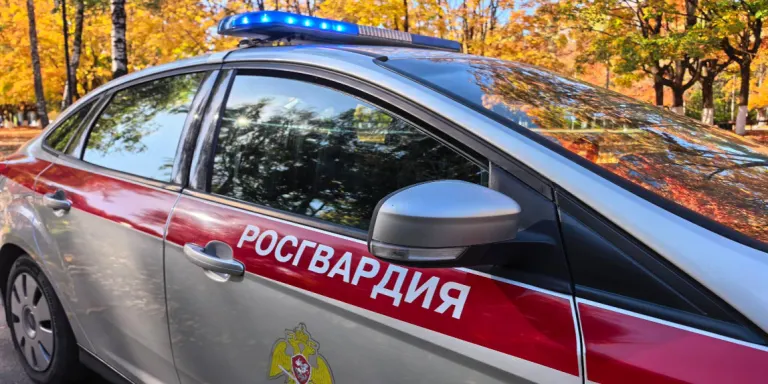 Росгвардейцы Брянской области задержали 32 правонарушителей за неделю