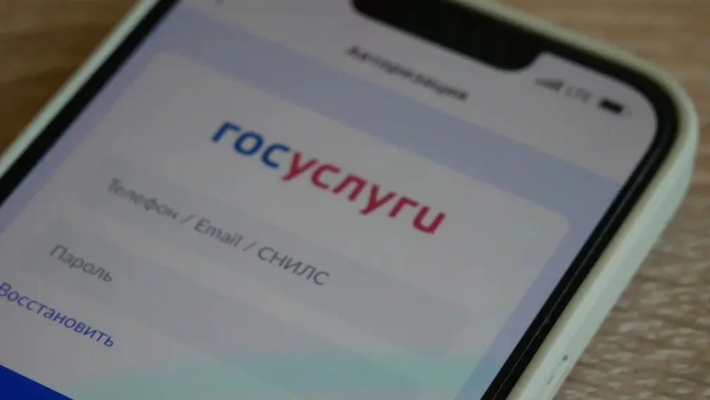 Портал Госуслуги на экране смартфона
