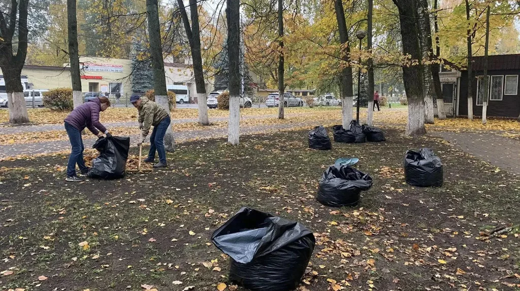 Чиновники убирают опавшую листву в парке
