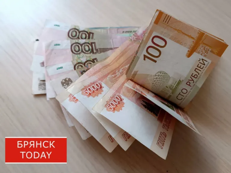 Доходы депутатов Госдумы в 2025 году превысили бюджеты целых регионов