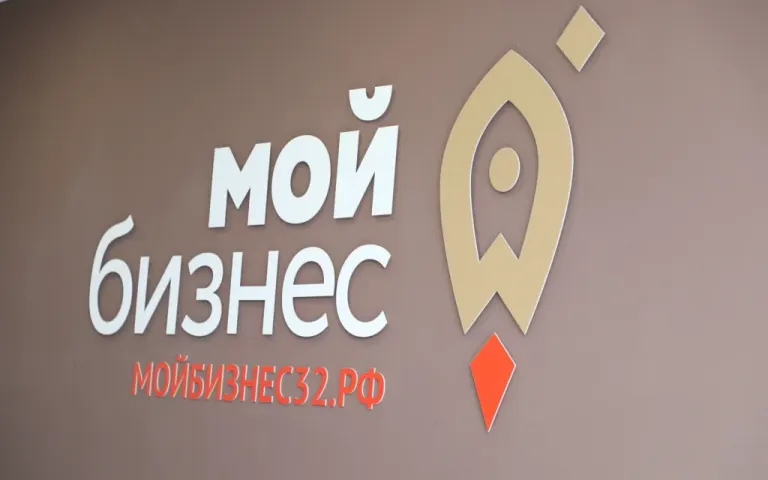 Центр «Мой бизнес» предлагает брянским предпринимателям бесплатные консультации по налогам