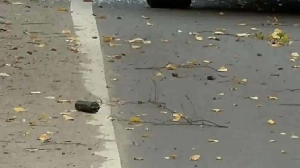 Взрывные устройства на проезжей части Брянска