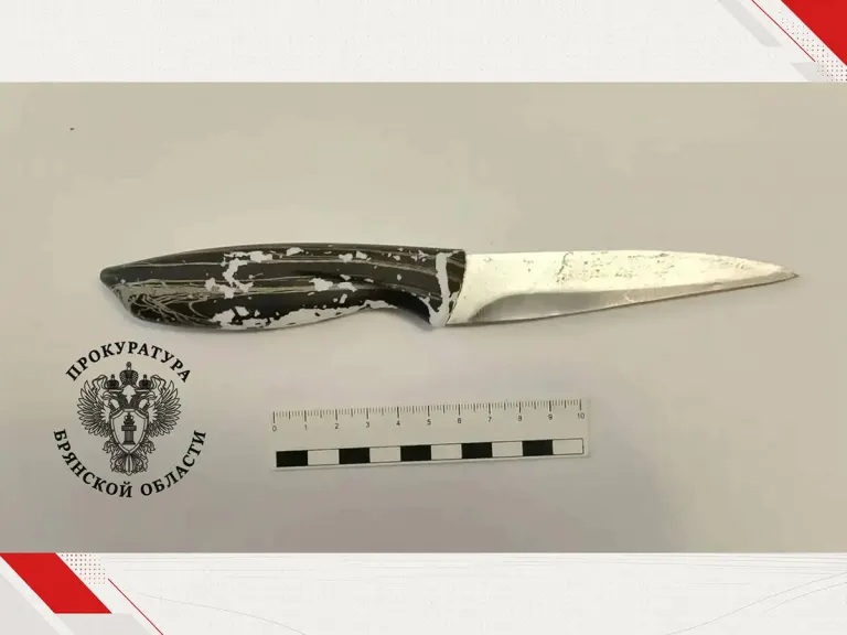 Жительницу Клинцов заключили под стражу на два месяца по подозрению в убийстве сожителя