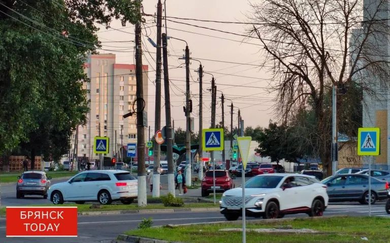 Прокуратура назвала районы Брянской области с наибольшим числом нарушений ПДД с тяжкими последствиями
