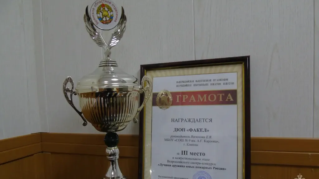 Кубок и грамота за третье место конкурса