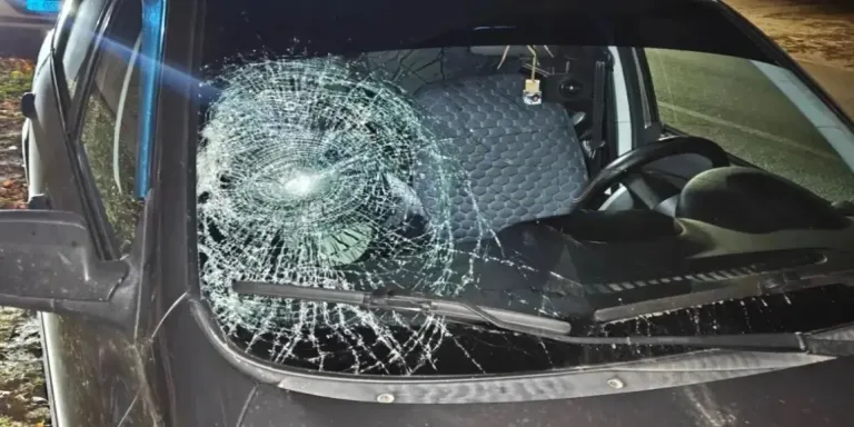 В Брасовском районе опьяневший пешеход сбила Lada Kalina