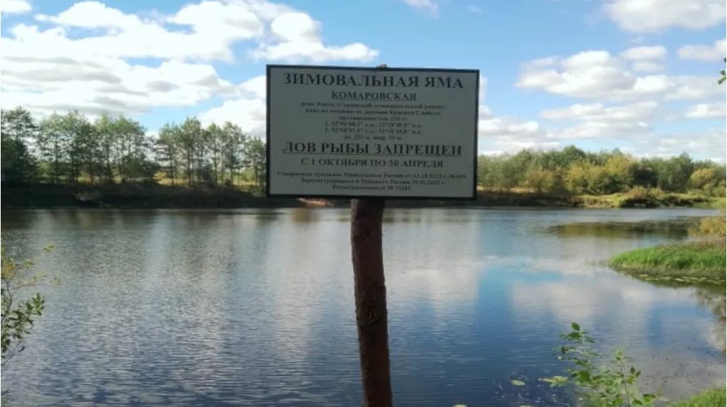 Аншлаг зимовальной ямы на водоёме