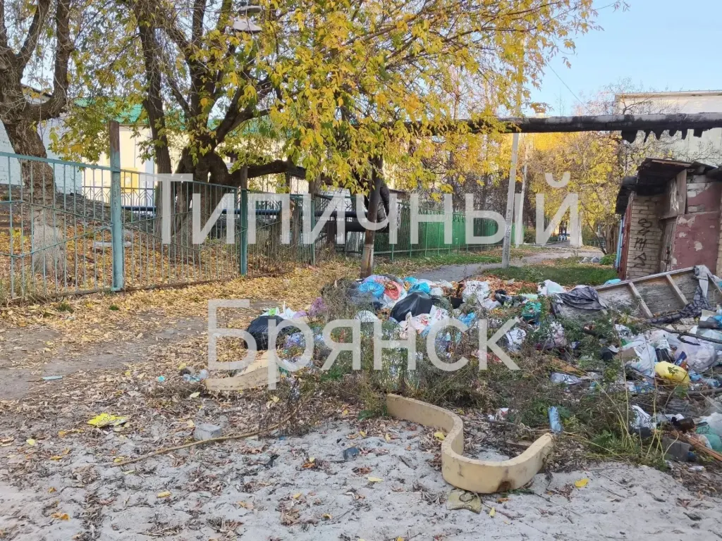 Стихийная свалка мусора у гаражей в Бежице