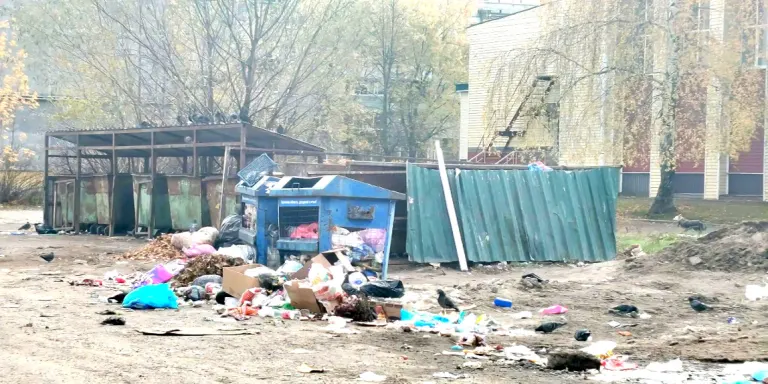 В Володарском районе Брянска не убирают мусор возле контейнерной площадки на улице Радищева
