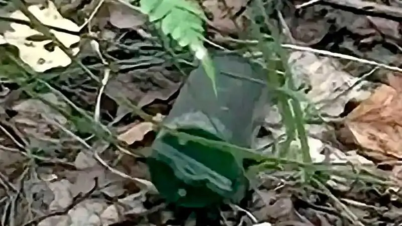 Взрывное устройство среди травы и листвы