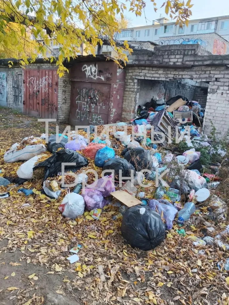 В Брянске у детских садов в Бежице скапливается стихийная свалка