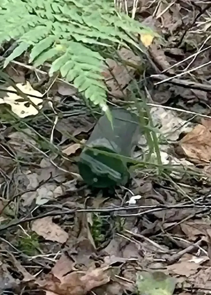 Взрывное устройство в лесной подстилке