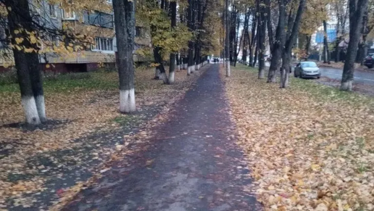 В Брянской области 25 октября ожидается тепло до 17 градусов