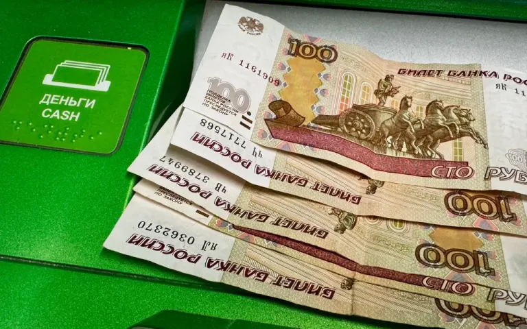 Брянчанку осудили на год условно за покупки по найденной карте