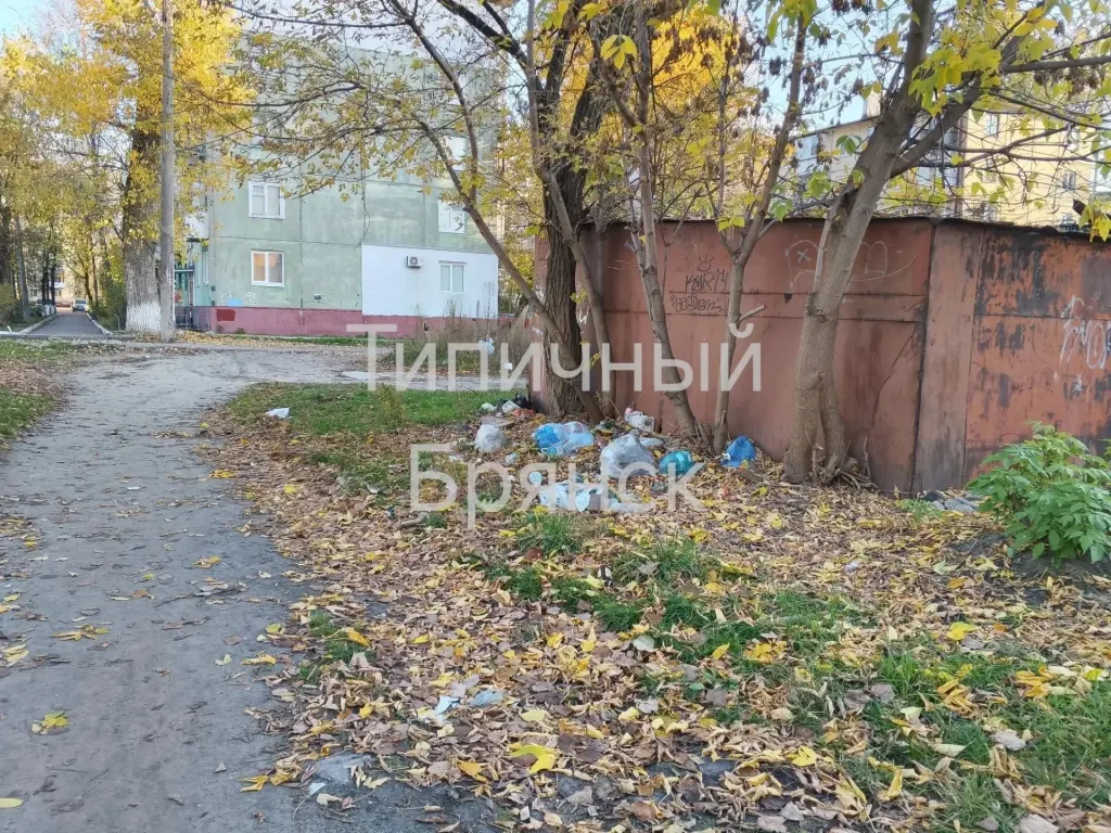 Стихийная свалка мусора у гаражей в Бежице
