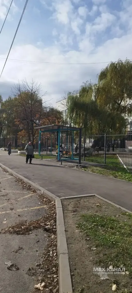 Остановка общественного транспорта в Брянске