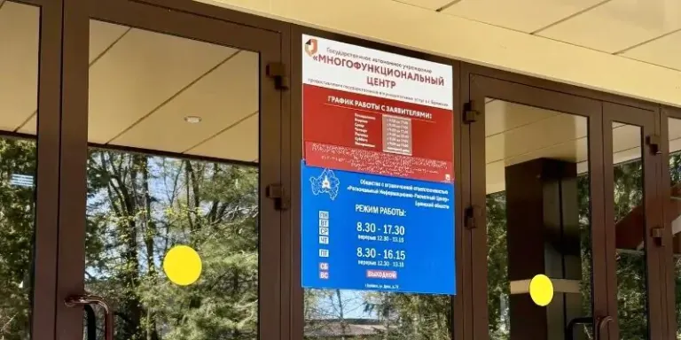 МФЦ Брянска принимают 59% обращений по вопросам Росреестра