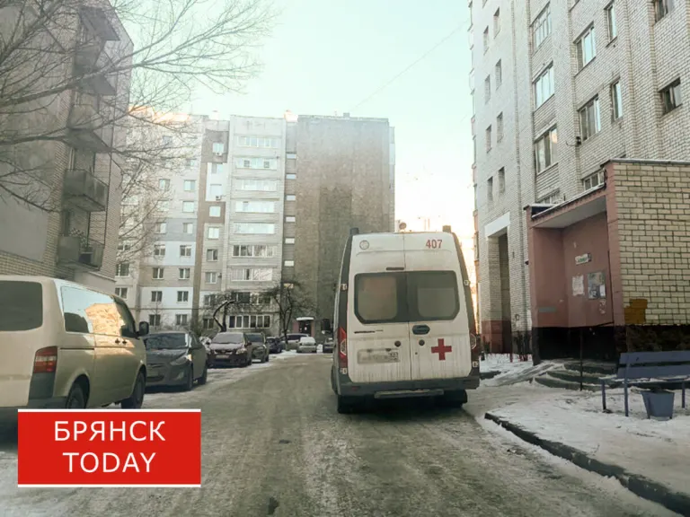 График выездов мобильных медиков в Брянской области до 30 октября