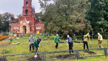 В Трубчевске высадили 30 елей у Ильинской церкви