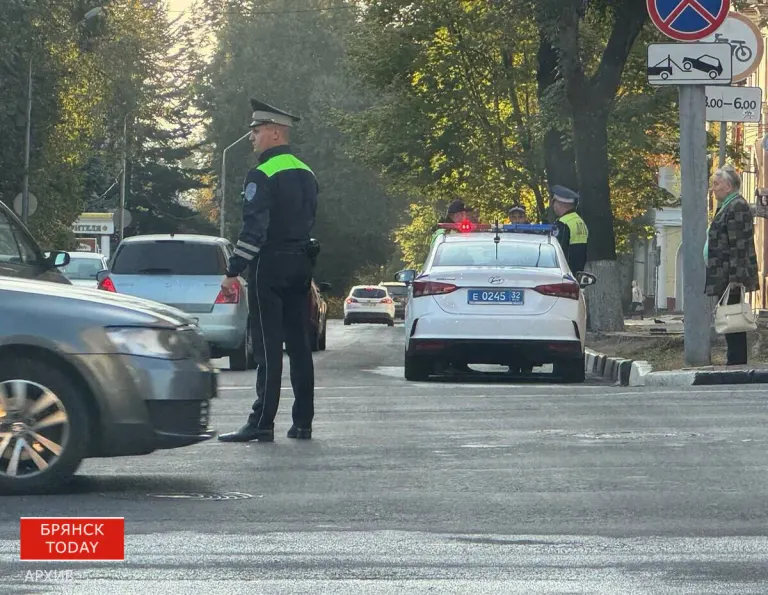 ГИБДД провела двухдневную проверку у пешеходных переходов в Брянской области