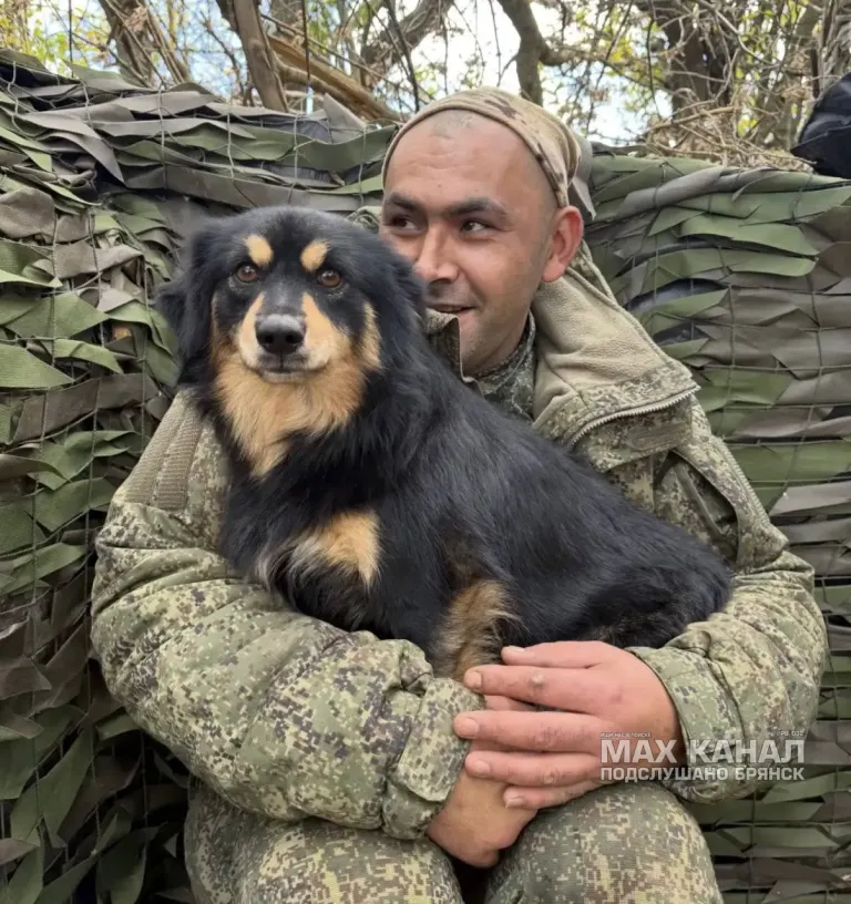 Брянский военнослужащий с боевым товарищем — псом Цезарем