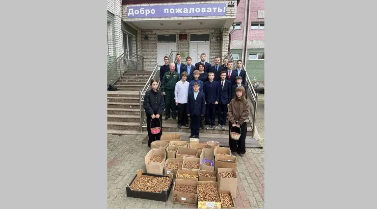 Школьники Унеча собрали более 100 килограммов желудей для лесничества