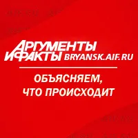На Брянщине сгорели дом, баня, хозпостройка, три машины и мусор