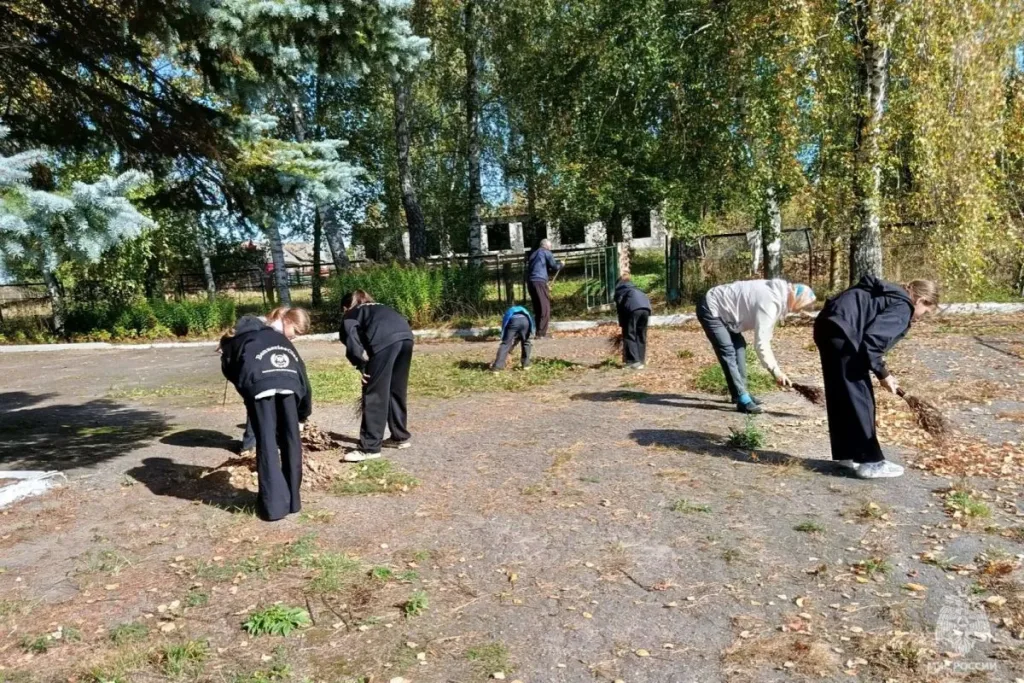 Сотрудники МЧС убирают сухую растительность