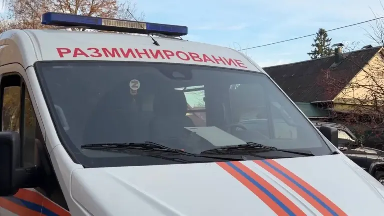 Брянская область закупит беспилотники и пневматическое оружие для разминирования