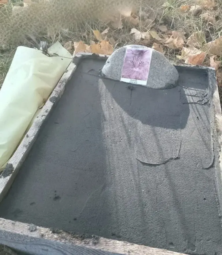 В Бежице обнаружили самодельное надгробие с фотографией кошки