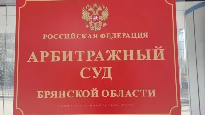 Предприниматель подал в суд на брянскую компанию за неоплаченный контент