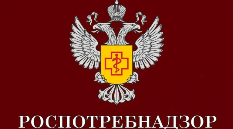 В Брянской области начали вакцинировать от болезней, передаваемых клещами