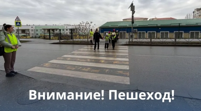 Акция по безопасности дорожного движения в Выгоничском