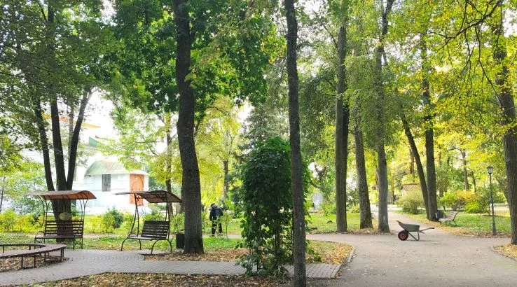 Парк в осеннюю погоду с деревьями