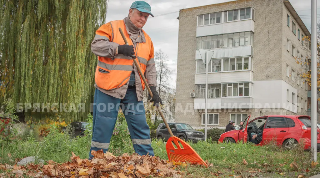 Дорожник убирает листья и мусор на улице