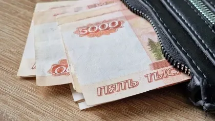 Жительница Стародубского округа добилась выплаты задолженных алиментов