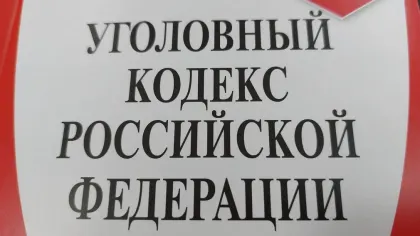 В Брянске задержали мужчину за кражу пакета у пенсионерки