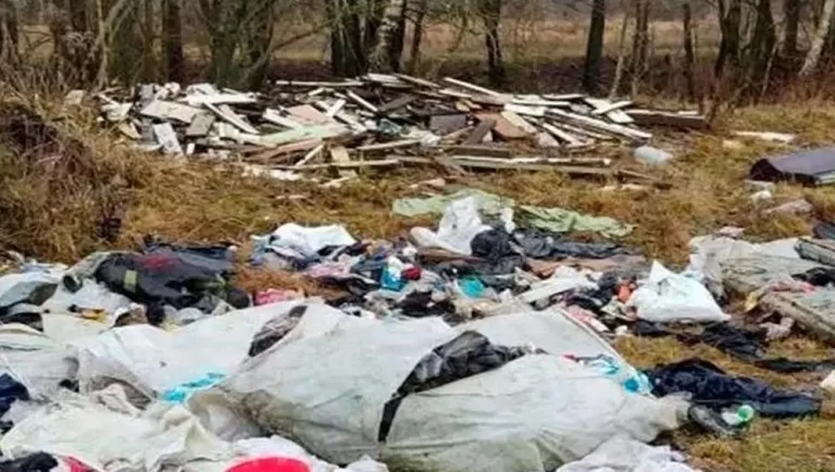 Суд обязал брянскую администрацию ликвидировать свалку у озера Керамзитное