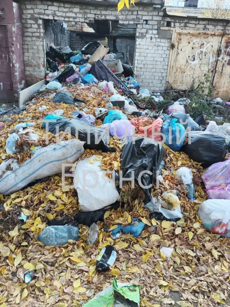 Стихийная свалка у гаражей в Бежице