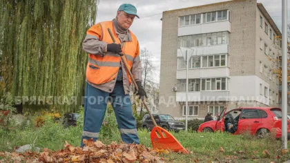 В Брянске убрали от листьев 59 улиц, переулков и бульваров
