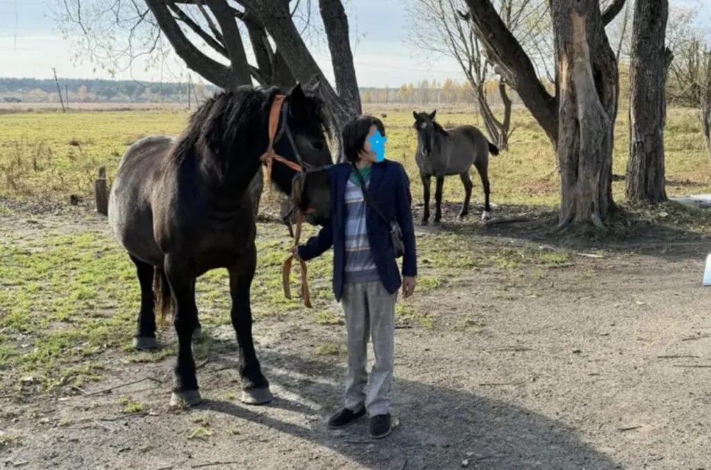 Лошади на подворье в сельской местности