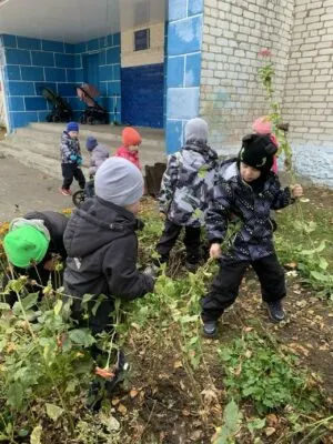 Дети детского сада «Журавушка» в Суземке готовили цветники к зиме