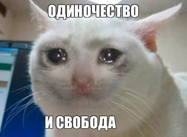 Люди без брака остаются довольны жизнью, показало 11-летнее исследование